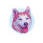 Mystics Pet Portraits
